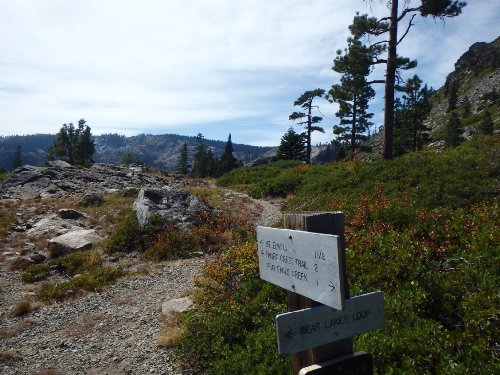 3 Well Marked Trail.JPG