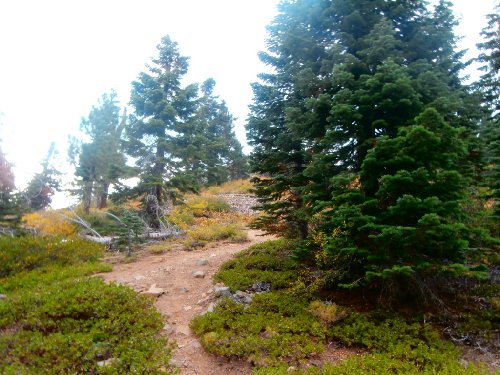 4 Haskell Peak Trail.JPG