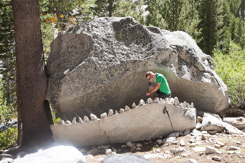 Rock Monster receiving some dental work