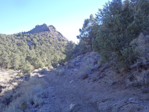 2 Stock Trail.JPG