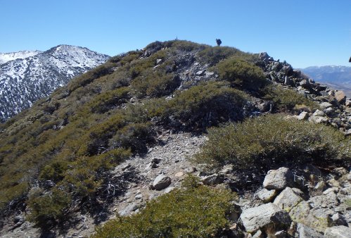 9 Summit Ridge.JPG