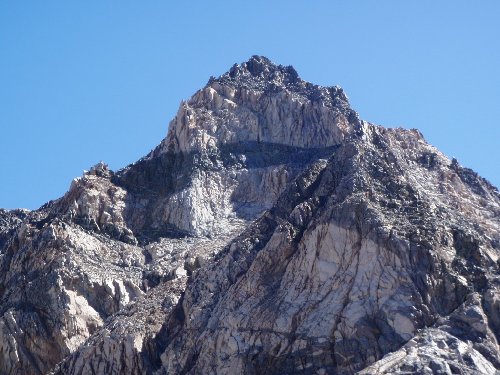 Zorro in the backcountry?