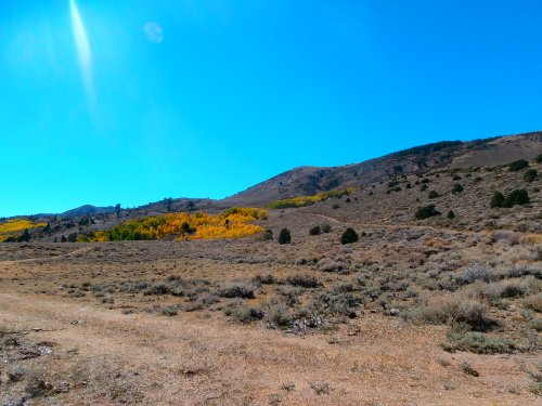 1 Star City Aspens.JPG