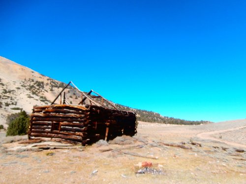 3 Cabin.JPG