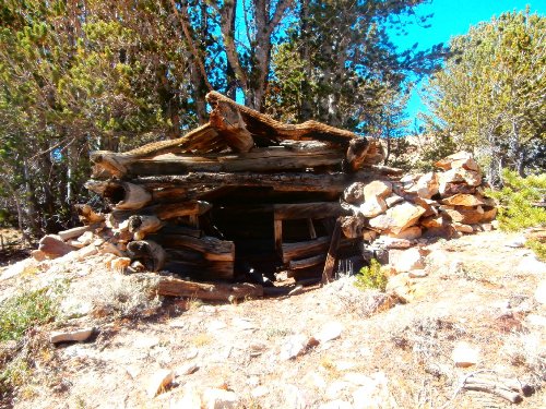 5 Cabin.JPG