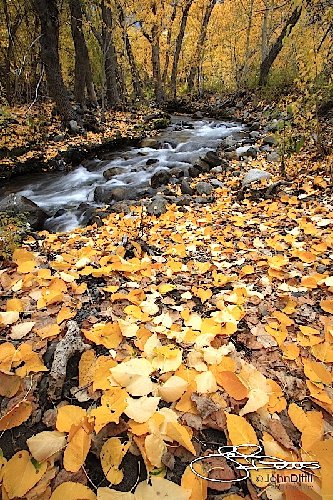 _MG_5821.jpg