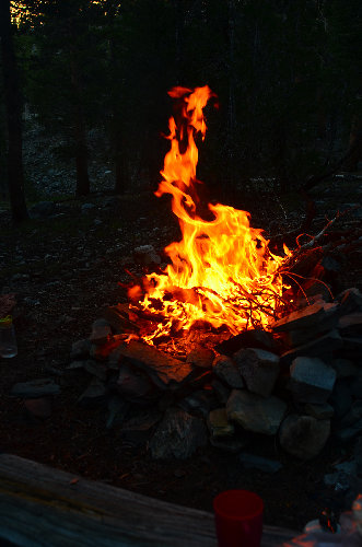 DSC_6356.jpg