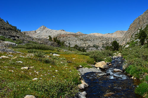 Looking at the LeConte Divide