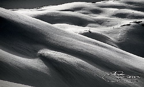 Monarch Divide