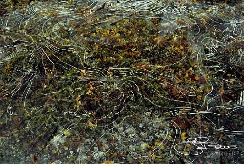 Ice over alpine tundra