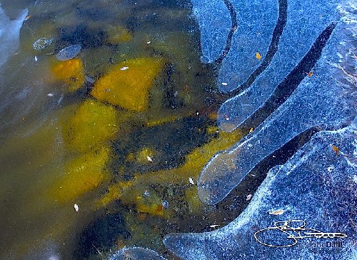 _MG_6114.jpg