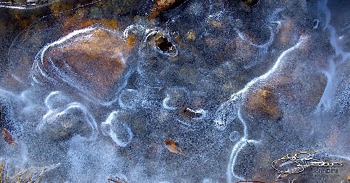 _MG_6134.jpg