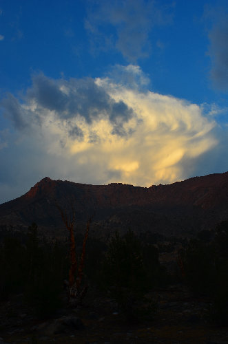 A serene landscape