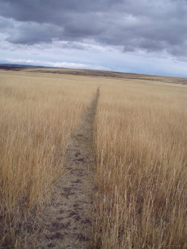 Zumwalt Prairie Nature Conservancy Preserve