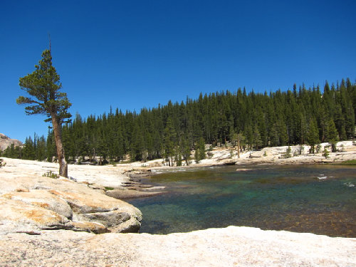 about half way down fisherman's trail