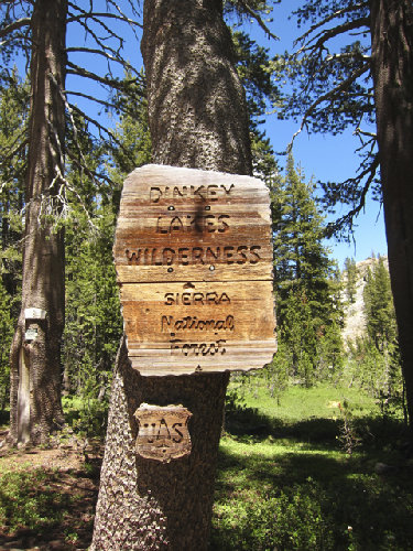 Entering the Wilderness