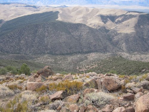 Down to the creek from peak