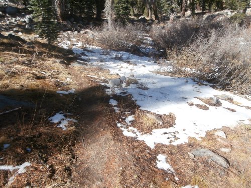 3 Find Waldo Snow.JPG