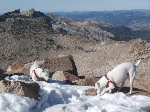 8 Girls, Snow Summit.JPG