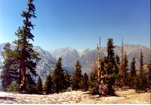 hisierra8.JPG